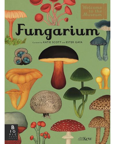 Fungarium - 1