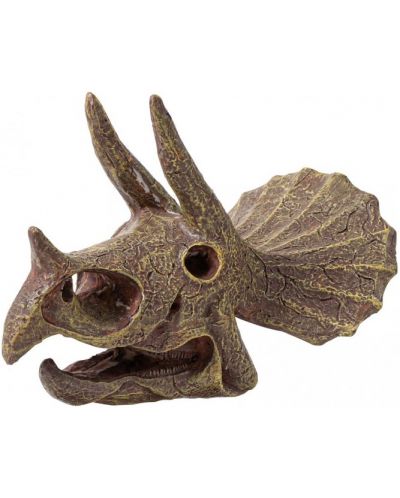 Ερευνητικό σετ Buki Museum - Skull, Triceratops - 3