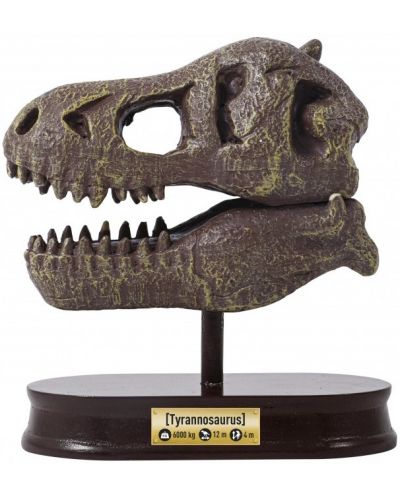 Ερευνητικό σετ Buki Museum - Skull, T-Rex - 4