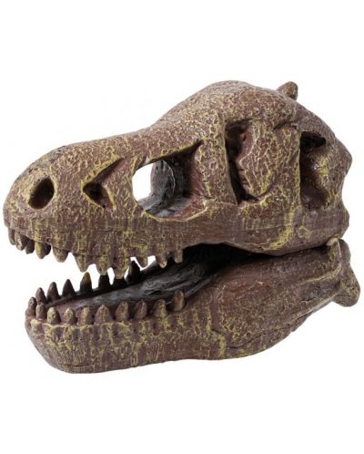 Ερευνητικό σετ Buki Museum - Skull, T-Rex - 3