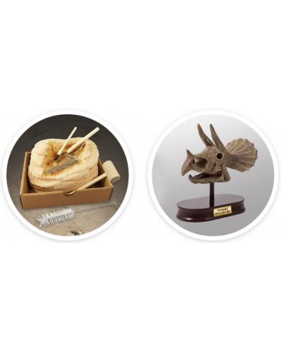 Ερευνητικό σετ Buki Museum - Skull, Triceratops - 5