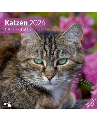 Ημερολόγιο Ackermann - Cats, 2024 - 1