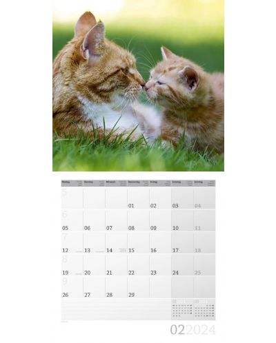 Ημερολόγιο Ackermann - Cats, 2024 - 3