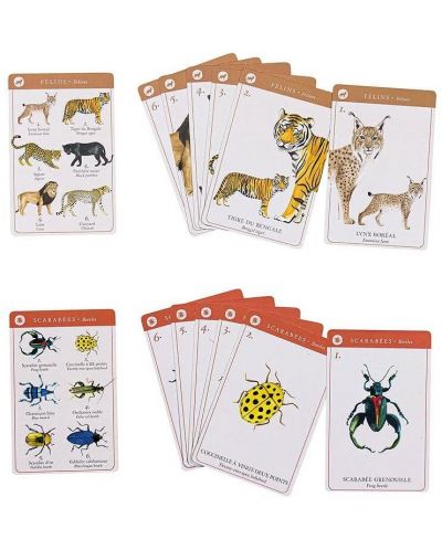 Κάρτες με ζώα  Moulin Roty -Οικογένειες - 4