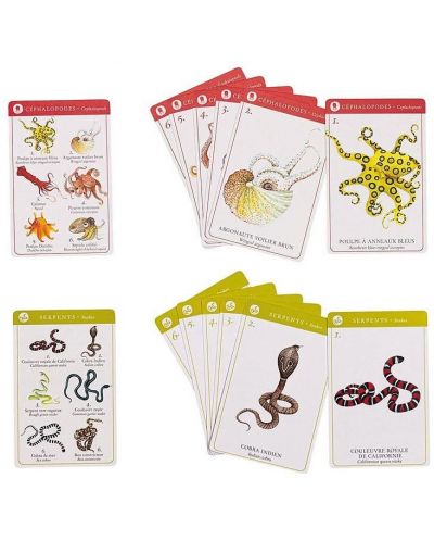 Κάρτες με ζώα  Moulin Roty -Οικογένειες - 2