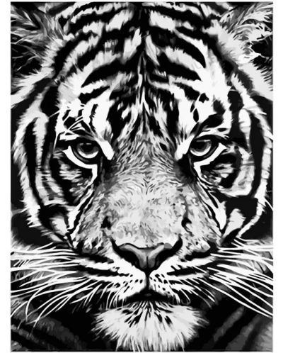 Σετ ζωγραφικής με αριθμούς  Foska - λευκή τίγρης - 1
