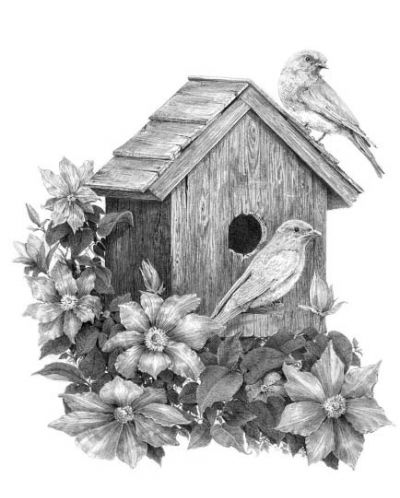 Σετ ζωγραφικής με μολύβια Royal - Πουλιά και σπίτι, 23 х 30 cm - 1