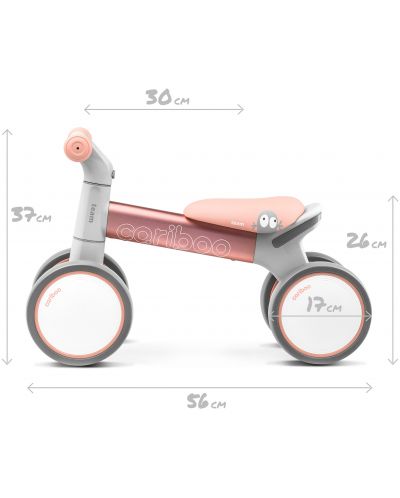 Ποδήλατο ισορροπίας Cariboo - Team, ροζ - 7