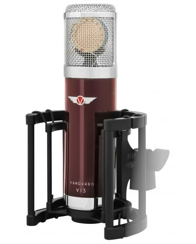 Σετ μικρόφωνο με αξεσουάρ Vanguard - V13, κόκκινο/ασημί - 3