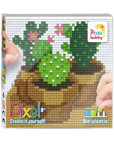 Δημιουργικό σετ pixel Pixelhobby Classic- Κάκτοι - 1