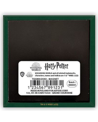 Μαγνήτης The Good Gift Movies: Harry Potter - Hogwarts Green - 2