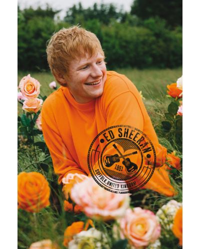 Maxi αφίσα GB eye Music: Ed Sheeran - Rose Field - 1