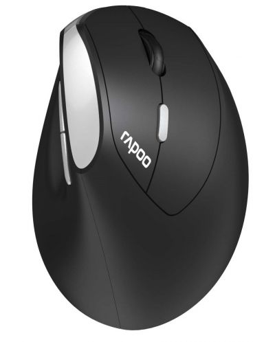 Ποντίκι Rapoo - EV250, οπτικό, ασύρματο, μαύρο/ασημί - 1