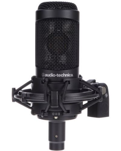 Μικρόφωνο Audio-Technica - AT2050, μαύρο - 1