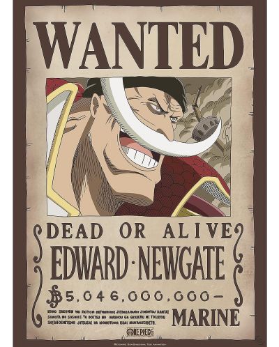  Μίνι αφίσα GB eye Animation: One Piece - Whitebeard Wanted Poster - 1