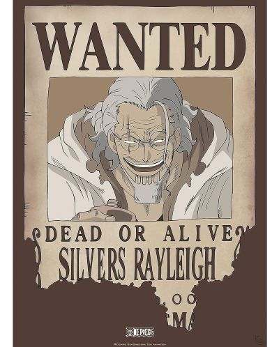 Μίνι αφίσα GB eye Animation: One Piece - Rayleigh Wanted Poster - 1