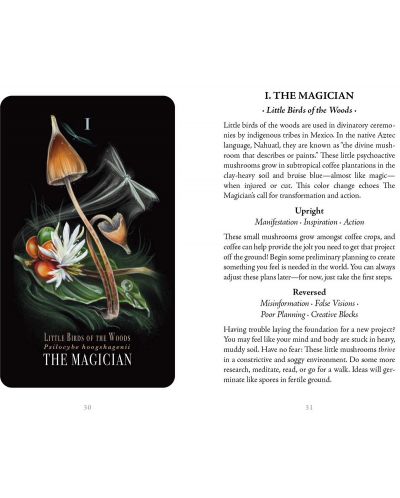 Midnight Magic A Tarot Deck of Mushrooms - 4