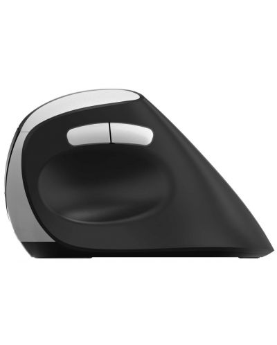 Ποντίκι Rapoo - EV250, οπτικό, ασύρματο, μαύρο/ασημί - 5