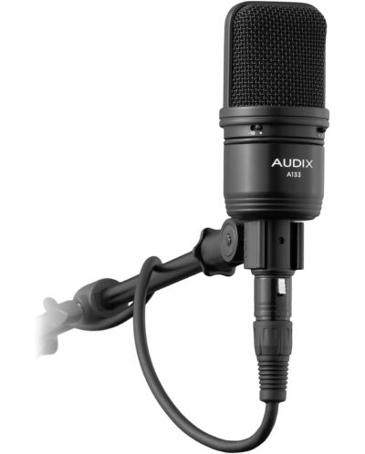 Μικρόφωνο AUDIX - A133, μαύρο - 2