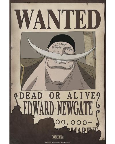 Μίνι αφίσα  GB eye Animation: One Piece - Wanted Whitebeard - 1