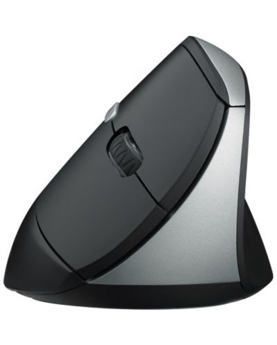 Ποντίκι Rapoo - EV250, οπτικό, ασύρματο, μαύρο/ασημί - 2