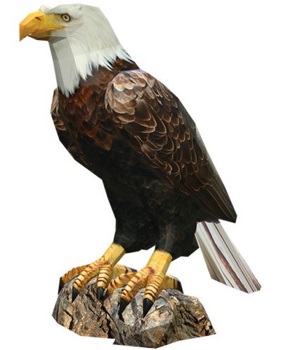 Μοντέλο συναρμολόγησης χαρτιού - Φαλακρός αετός, 41 x 37 εκ - 1