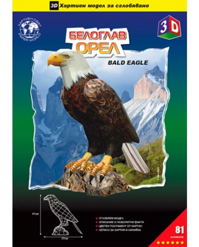 Μοντέλο συναρμολόγησης χαρτιού - Φαλακρός αετός, 41 x 37 εκ - 3