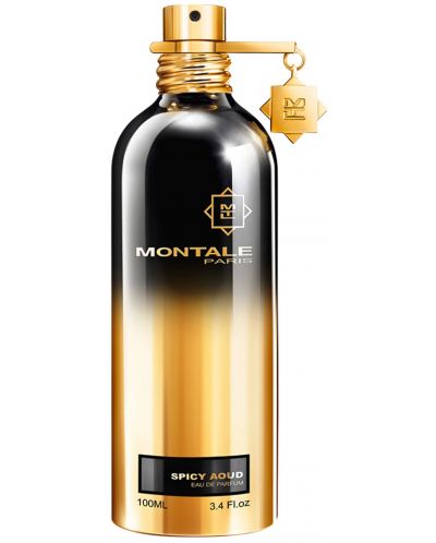Montale Eau de Parfum Spicy Aoud, 100 ml - 1