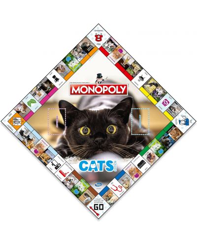 Επιτραπέζιο παιχνίδι Monopoly - Cats - 2