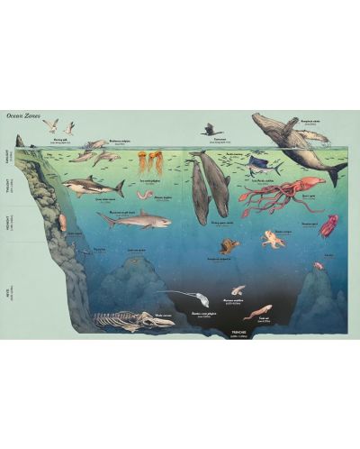 Oceanarium (Junior Edition) - 2