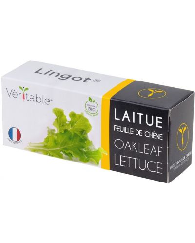 Σπόρια   Veritable - Lingot,Σαλάτα φύλλα βελανιδιάς, μη ΓΤΟ - 1