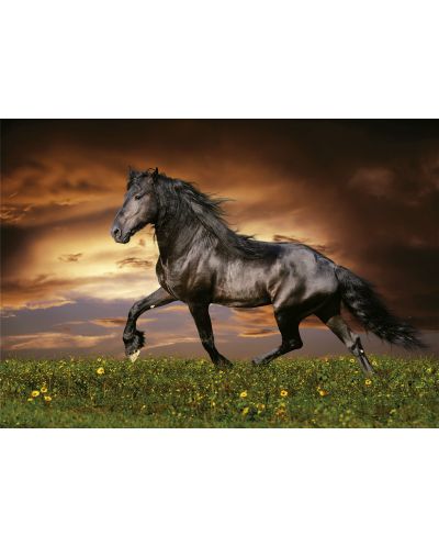 Παζλ  Educa  1000 τεμαχίων -Ένα άλογο που τροχοδρομεί - 2