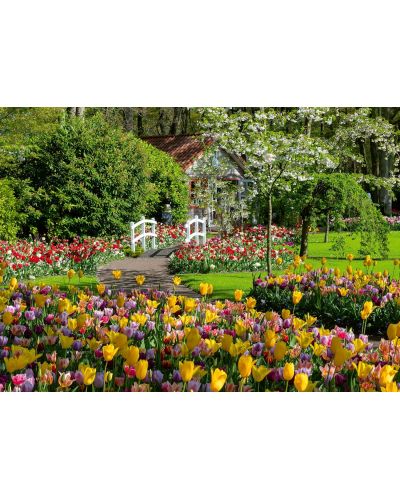 Παζλ Ravensburger 1000 κομμάτια - Ολλανδικοί κήποι Keukenhof - 2