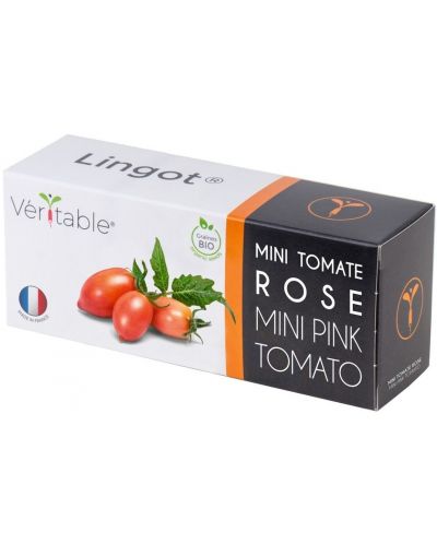 Σπόρια  Veritable - Lingot, Ροζ μίνι ντομάτες, μη ΓΤΟ - 1