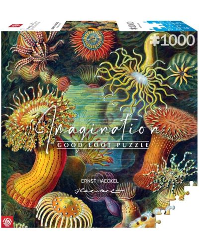 Παζλ Good Loot 1000 κομμάτια- Ernst Haeckel: Θαλάσσια πλάσματα - 1