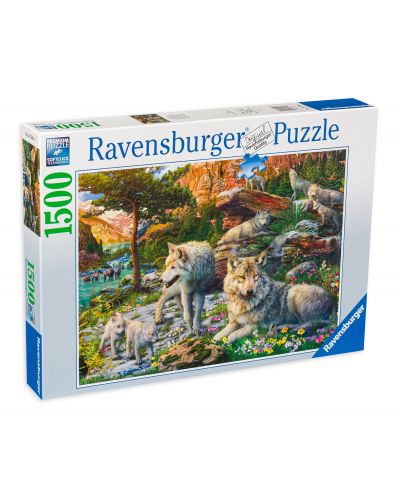 Παζλ Ravensburger από 1500 κομμάτια - Λύκοι - 1