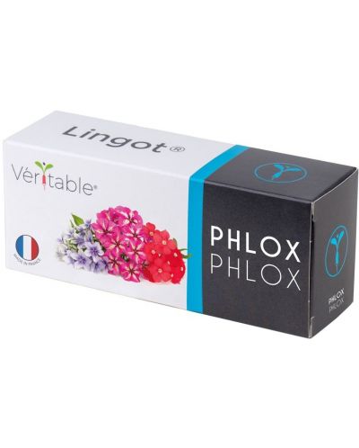 Σπόρια  Veritable - Lingot,Βρώσιμο Phlox, μη ΓΤΟ - 1