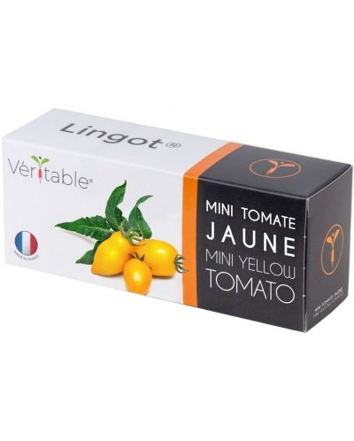 Σπόρια Veritable - Lingot, Κίτρινες μίνι ντομάτες, μη ΓΤΟ - 1