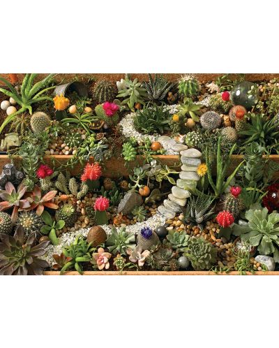 Παζλ Cobble Hill 1000 κομμάτια - Succulent Garden - 2