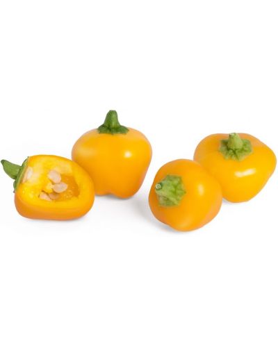 Σπόρια Veritable - Lingot, Κίτρινοι μίνι πιπεριές , χωρίς ΓΤΟ - 2