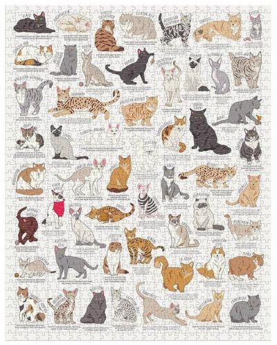 Παζλ Galison από 1000 κομμάτια - Γλυκές γάτες - 2