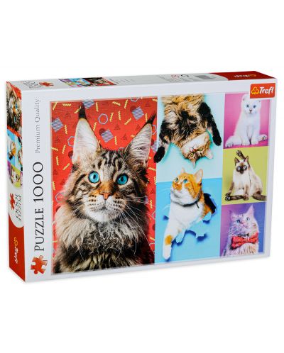 Παζλ Trefl 1000 κομμάτια - Ευτυχισμένες γάτες - 1