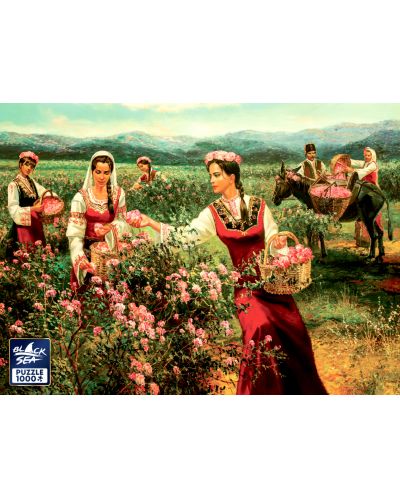 Παζλ Black Sea Premium 1000 κομμάτια -Μάζεμα τριαντάφυλλων,Vasil Goranov - 2