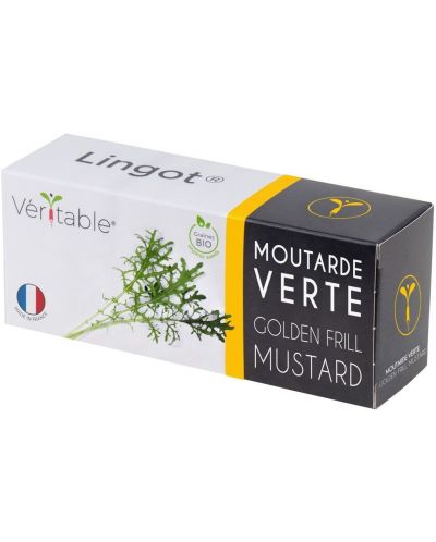 Σπόρια   Veritable - Lingot,Χρυσή σγουρή μουστάρδα, μη ΓΤΟ - 1