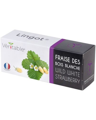 Σπόρια  Veritable - Lingot, Άσπρες άγριες φράουλες, μη ΓΤΟ - 1