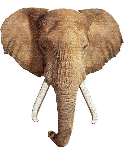 Παζλ Madd Capp 700 κομμάτια - Ελέφαντας - 2