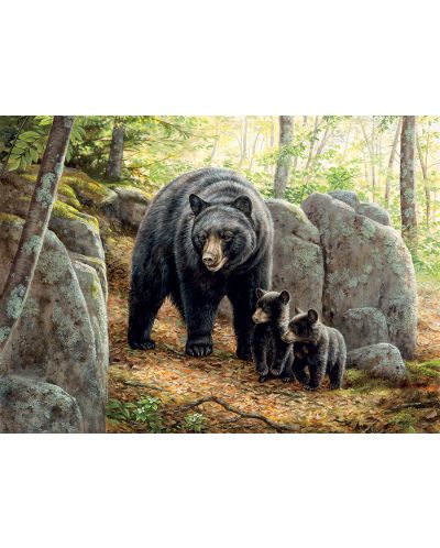Παζλ Cobble Hill 1000 κομμάτια - Αρκούδα μαμά, Rosemary Millette - 2