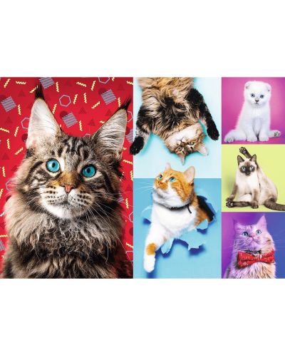 Παζλ Trefl 1000 κομμάτια - Ευτυχισμένες γάτες - 2