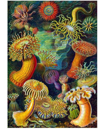 Παζλ Good Loot 1000 κομμάτια- Ernst Haeckel: Θαλάσσια πλάσματα - 2