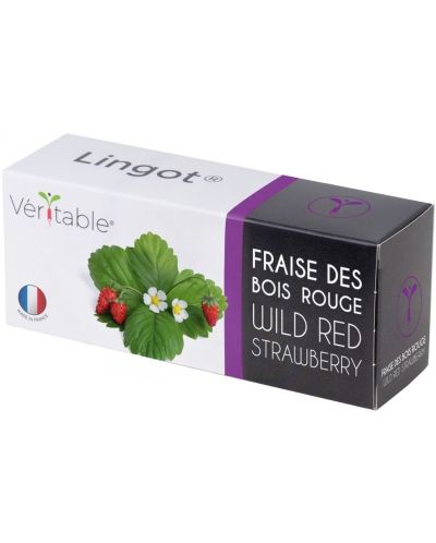 Σπόρια   Veritable - Lingot,Κόκκινες άγριες φράουλες, μη ΓΤΟ - 1